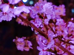 -西北湖绿化广场