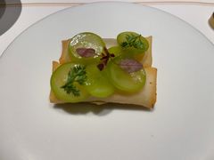 -觀芷隐轩