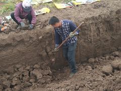 -解家河南菜(商鼎路店)