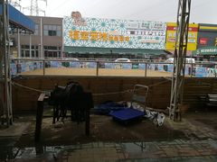 -中环花鸟鱼虫市场