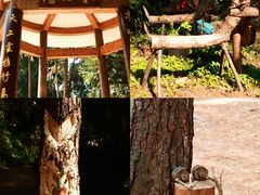 -三门江国家森林公园