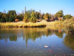 -中关村生命科学园