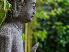 幽篁里古琴艺术中心(淮海中路总部)-幽篁里古琴制作中心