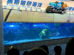 -成都浩海立方海洋公园