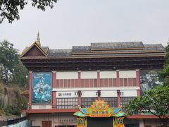 -西双版纳原始森林公园