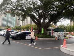 -汕头金海湾大酒店(万象城店)