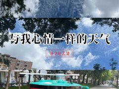 -坂田天虹