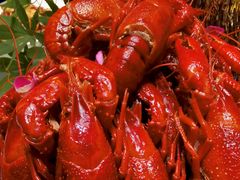 -田园居·佳宴(桑田路店)