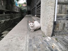 -航天馒头(瞻园路店)