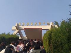 -古车博物馆