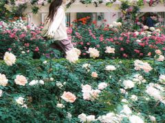 -人民公园(罗湖区)