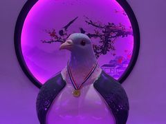 -鸽子张·家宴(黄辛庄旗舰店)