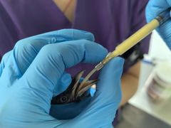 -立德异宠动物医院.兔鸟爬.内窥镜(天河店)