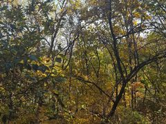 -帽儿山国家森林公园