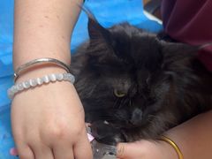 -宠福鑫动物医院(城北分院)