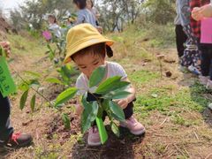 -宾果蒙特梭利托育儿童之家幼儿园(爱琴海店)