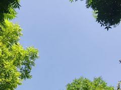 -鲤鱼山公园