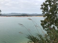 -广州市流溪河国家森林公园