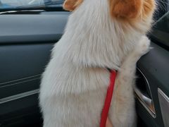 -畜牧兽医站(共江路店)