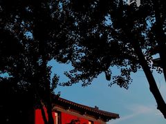 -长春市南湖公园