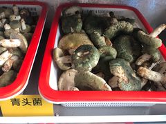 -菌海森林·非遗野生菌火锅(西山区滇池路摩根道店)