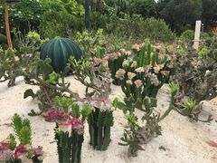 三亚凯莱仙人掌度假酒店-三亚亚龙湾凯莱仙人掌度假酒店