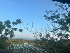 -北海金海湾红树林生态旅游区