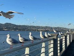 -快乐海鲜酒楼(滇池路店)