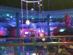 -青岛嘉年华主题乐园