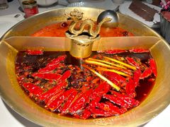 -小龙翻大江文化火锅(宽窄店)