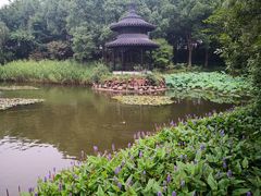 -天目湖山水园