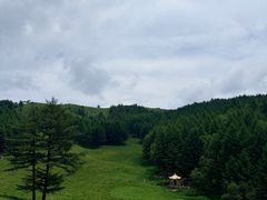 -驼梁风景区