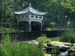-白水寺森林公园