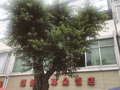 -赵姐猪耳朵饭店