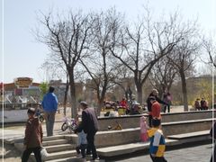 -天津东丽湖风景区