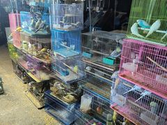 -中环花鸟鱼虫市场