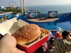 -麦当劳(海洋公园店)