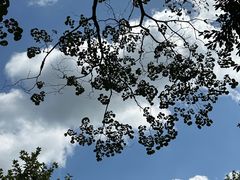 -中国大熊猫保护研究中心雅安碧峰峡基地