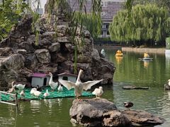 -团结湖公园