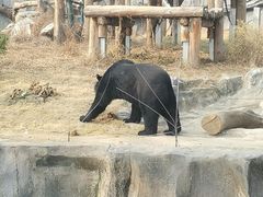 -武汉动物园