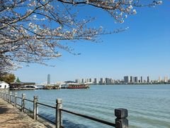 -无锡蠡湖国家湿地公园-蠡园