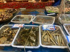 水产区-旺角小渔村·海肠捞饭开创者(环山路店)