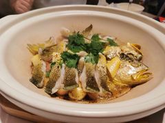 （新品）生啫深海大黄鱼-食廬(浦东嘉里城店)