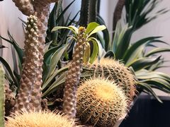 -J Create城市露营咖啡·简餐·宠物(上海动物园店)