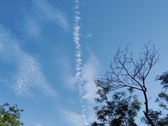 -鬼笑石后山停车场