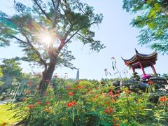 -顺峰山公园