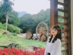-广州市石门国家森林公园