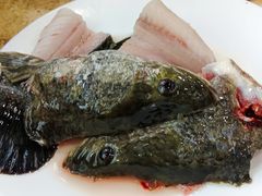 -活鱼馆(宜兴埠店)