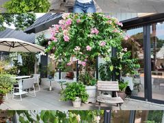 -花神·轻食简餐·咖啡馆·花卉绿植(荷兰花卉小镇店)