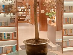 -二酉书店TOYOU BOOKS